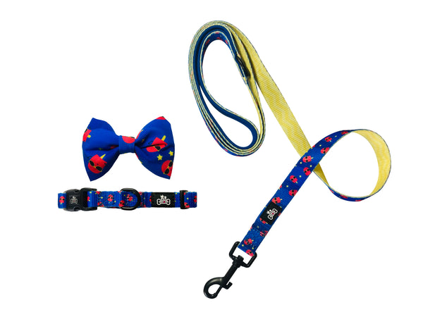 Set - Collar + Bow tie + Leash - Coolest Pup on Town